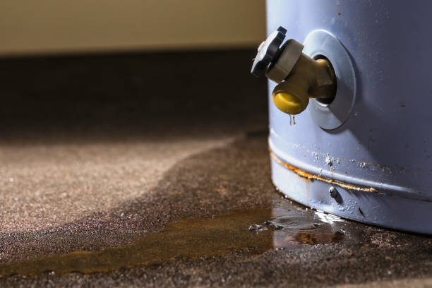 Best Residential water damage restoration  in Shelbina, MO