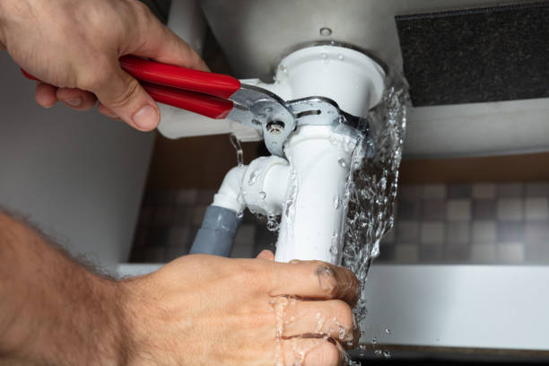 Best Mold removal after water damage  in Shelbina, MO