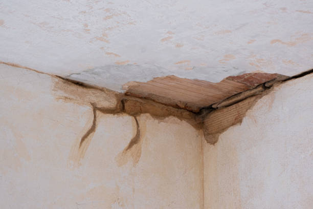 Reliable Shelbina, MO Water damage restoration Solutions