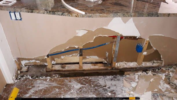 Best Fire Damage Restoration  in Shelbina, MO