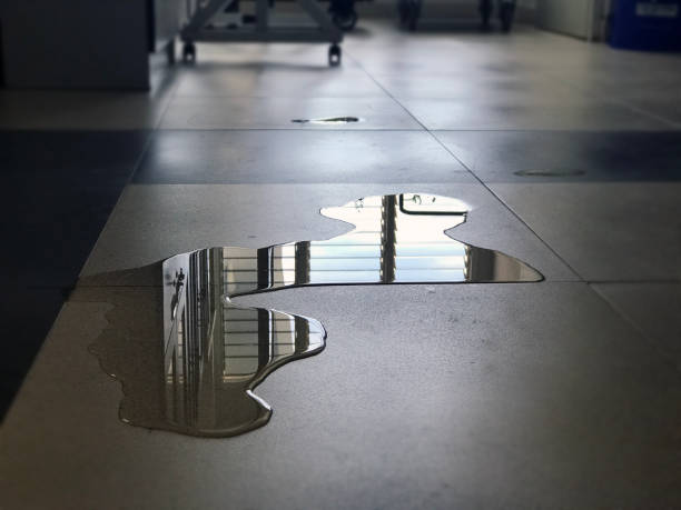 Best 24-hour water damage restoration  in Shelbina, MO