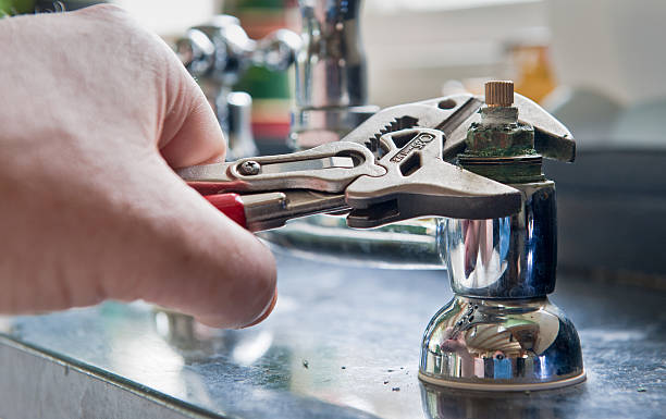 Best Carpet water damage restoration  in Shelbina, MO