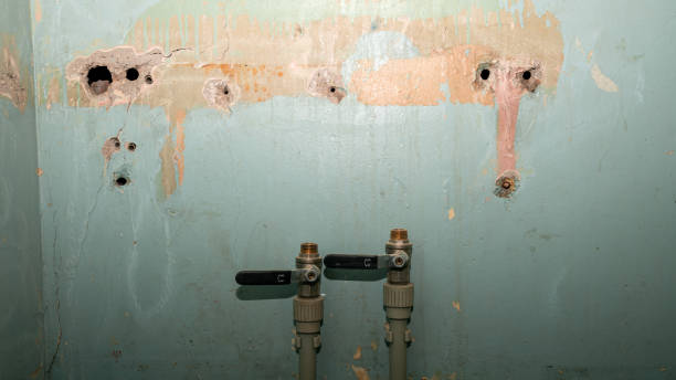Best Basement water damage restoration  in Shelbina, MO