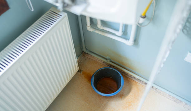 Best Basement water damage restoration  in Shelbina, MO