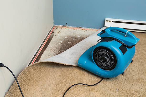 Best Emergency water damage restoration  in Shelbina, MO
